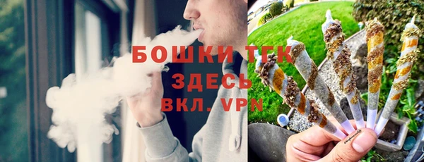 стаф Карталы