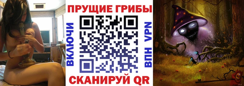 Псилоцибиновые грибы мухоморы  дарнет шоп  Краснодар 